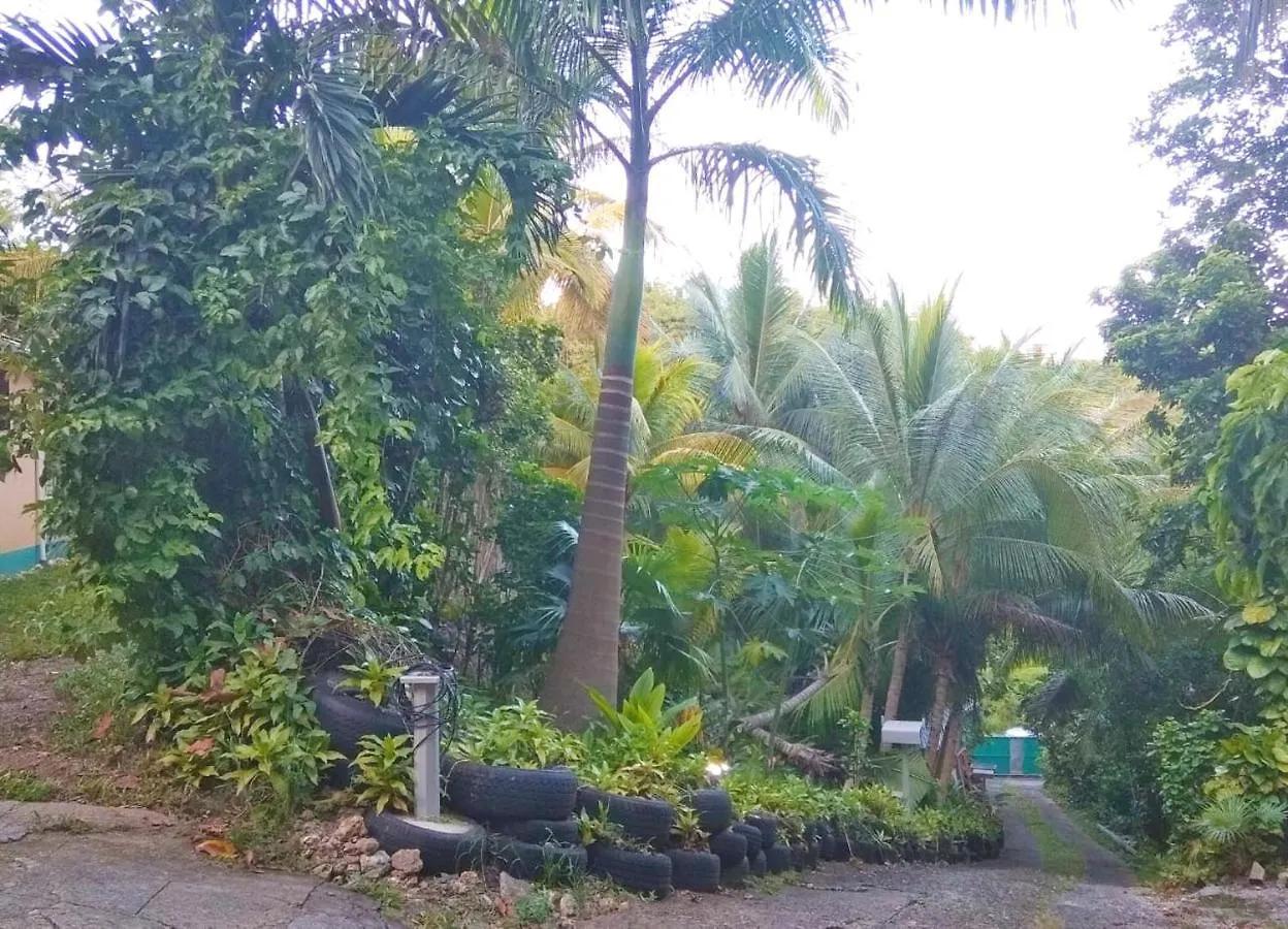 דירה Appartement D'Une Chambre Avec Jardin Clos Et Wifi A Le Gosier A 3 Km De La Plage